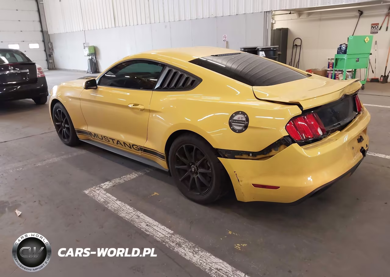 2016 Ford Mustang Ecoboost VIN:1FA6P8TH9G5225655 - 3