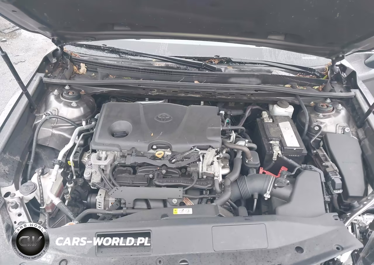 2019 Toyota Camry Se VIN:4T1B11HKXKU802743 - 10