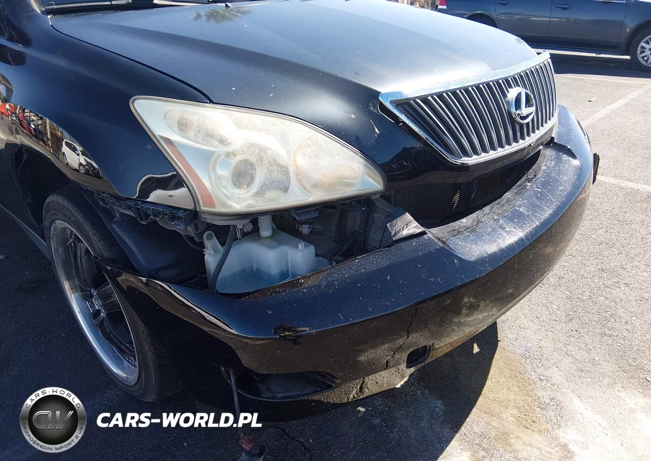 2007 Lexus Rx 350 VIN:JTJGK31U970004311 - 6