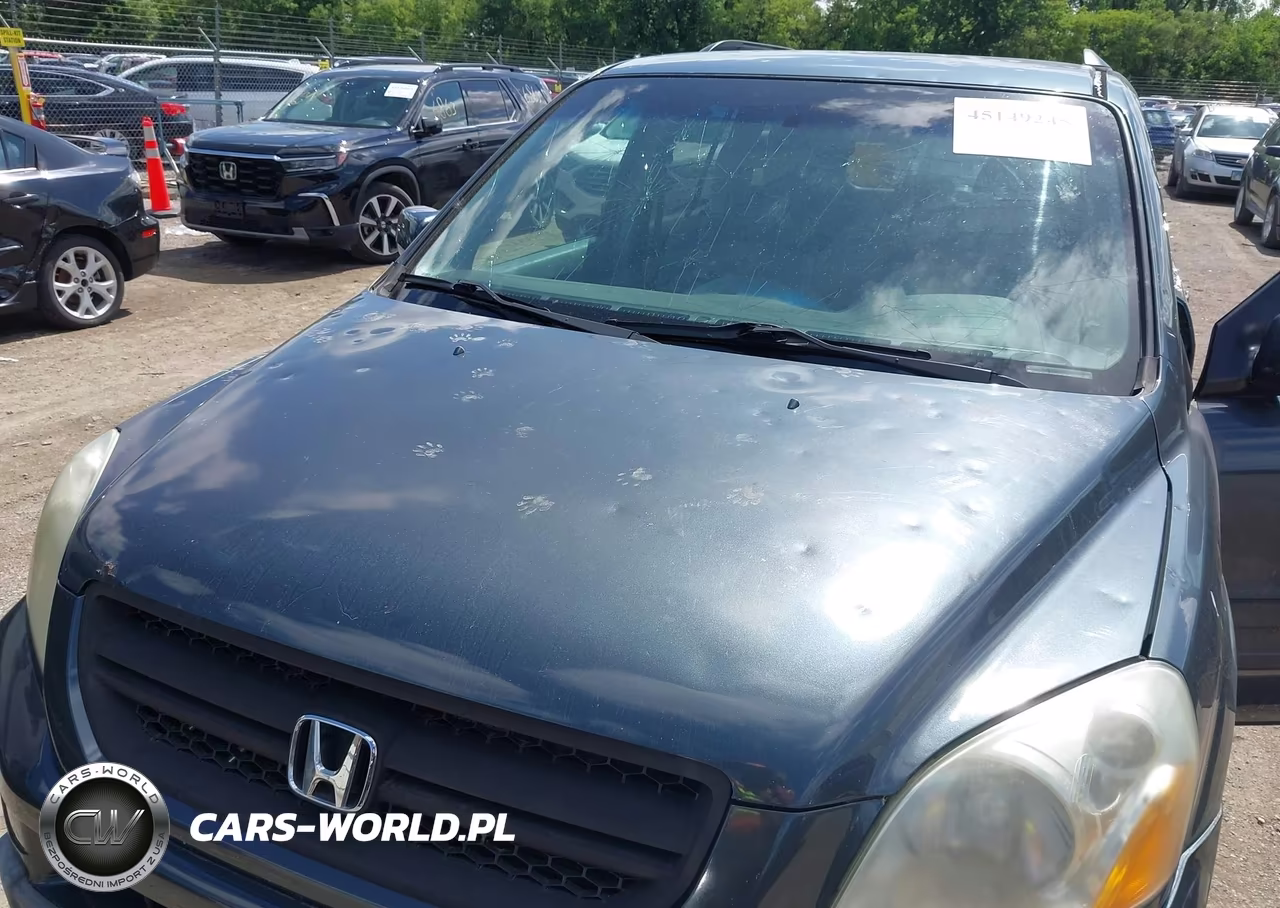 2005 Honda Pilot Ex VIN:5FNYF18425B002565 - 6