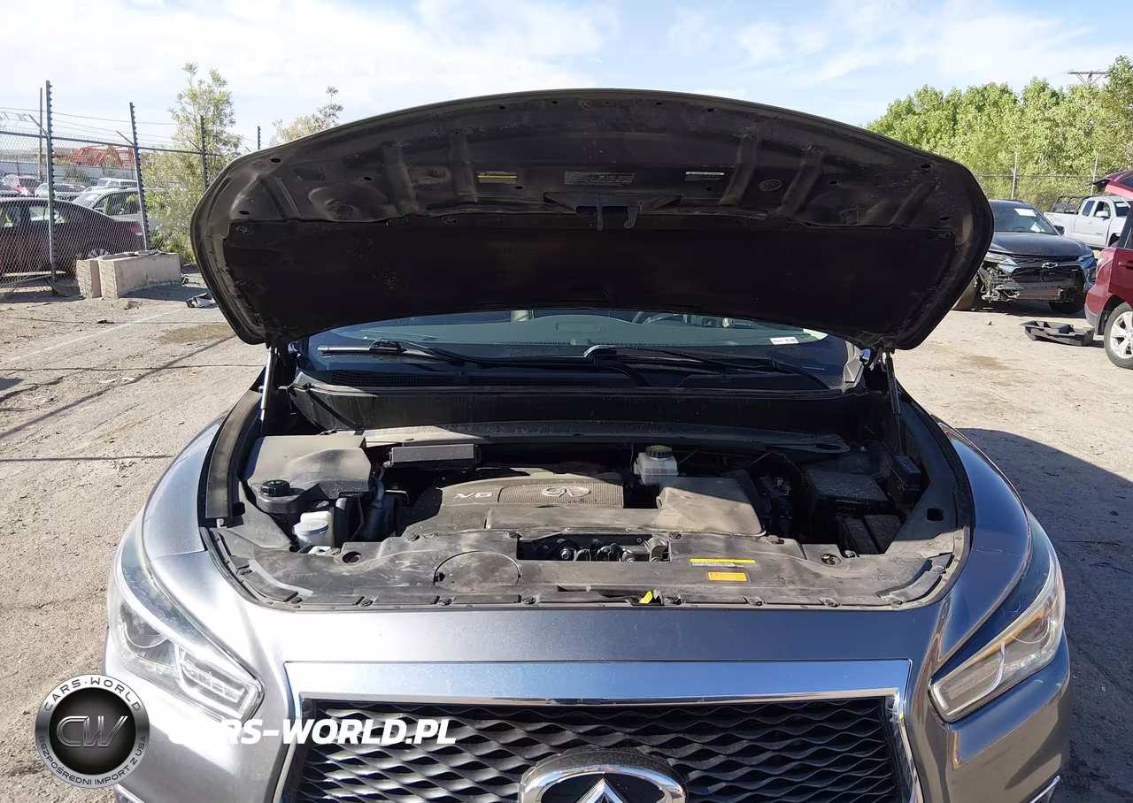 2019 Infiniti Qx60 Luxe-Pure VIN:5N1DL0MM9KC557976 - 10