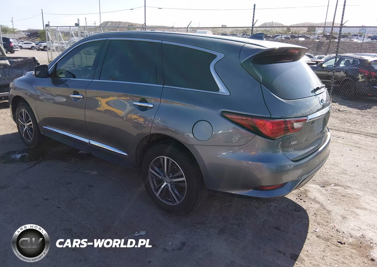 2019 Infiniti Qx60 Luxe-Pure VIN:5N1DL0MM9KC557976 - 3