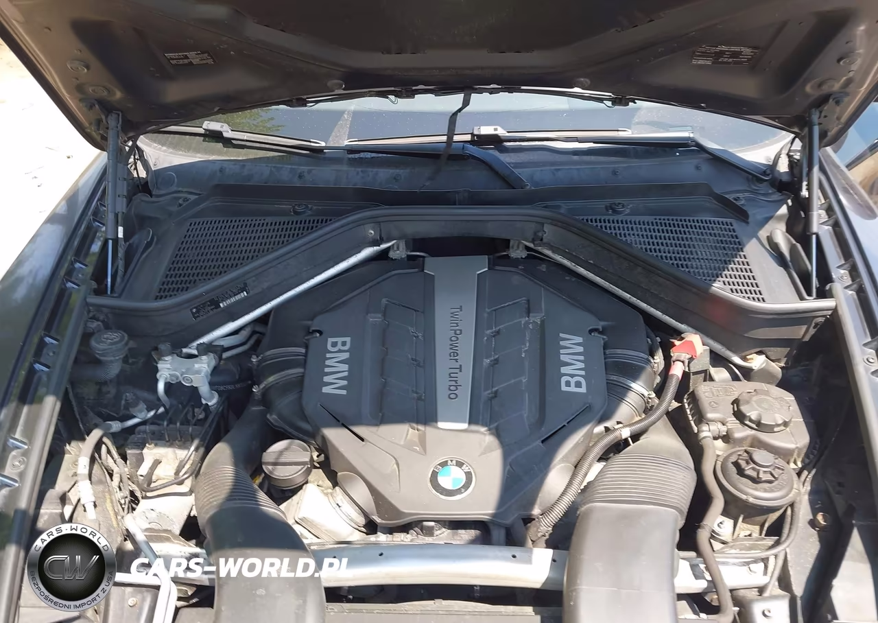 2013 BMW X6 xDrive50I VIN:5UXFG8C55DL591327 - 10