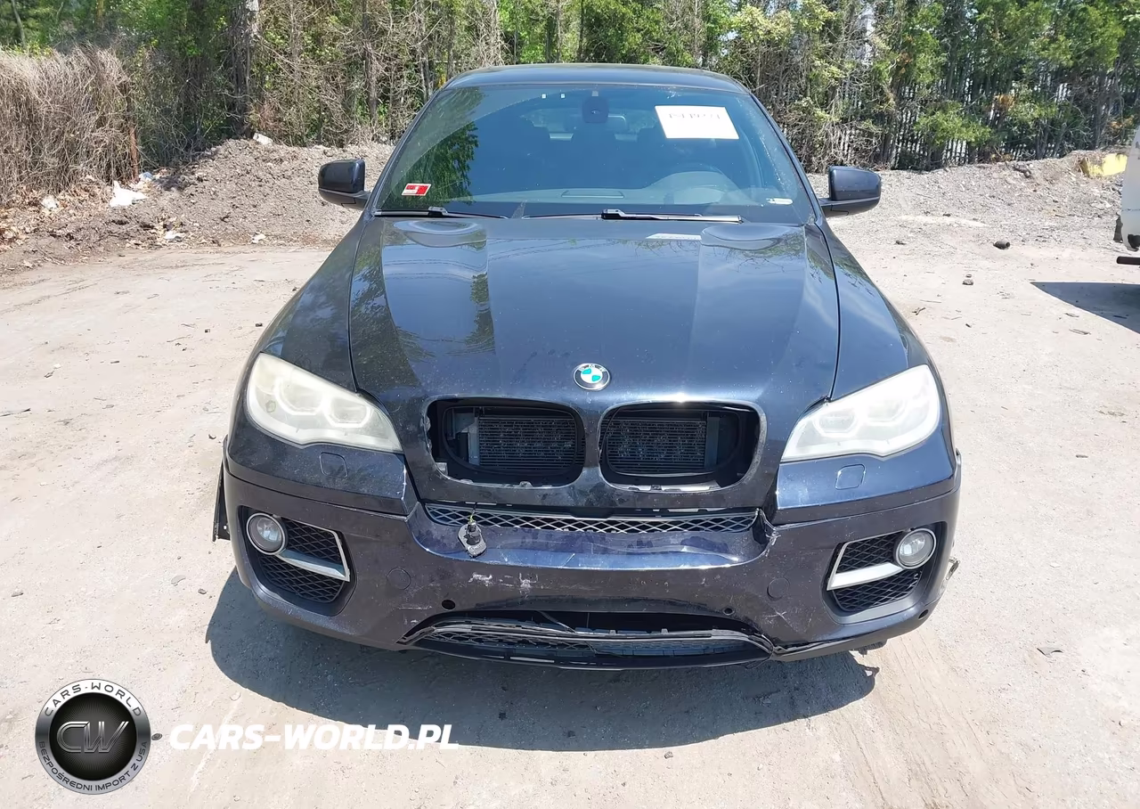 2013 BMW X6 xDrive50I VIN:5UXFG8C55DL591327 - 12