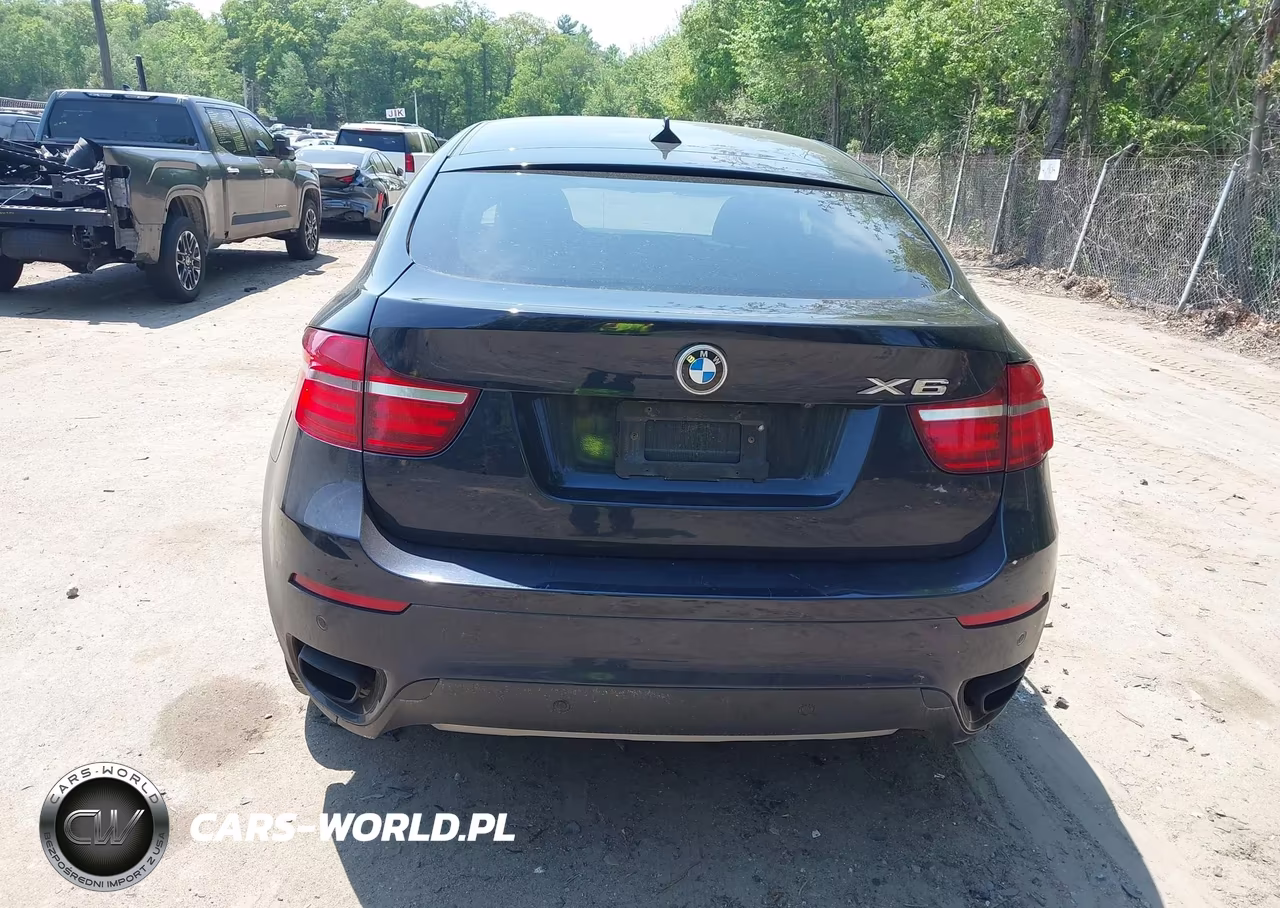 2013 BMW X6 xDrive50I VIN:5UXFG8C55DL591327 - 16
