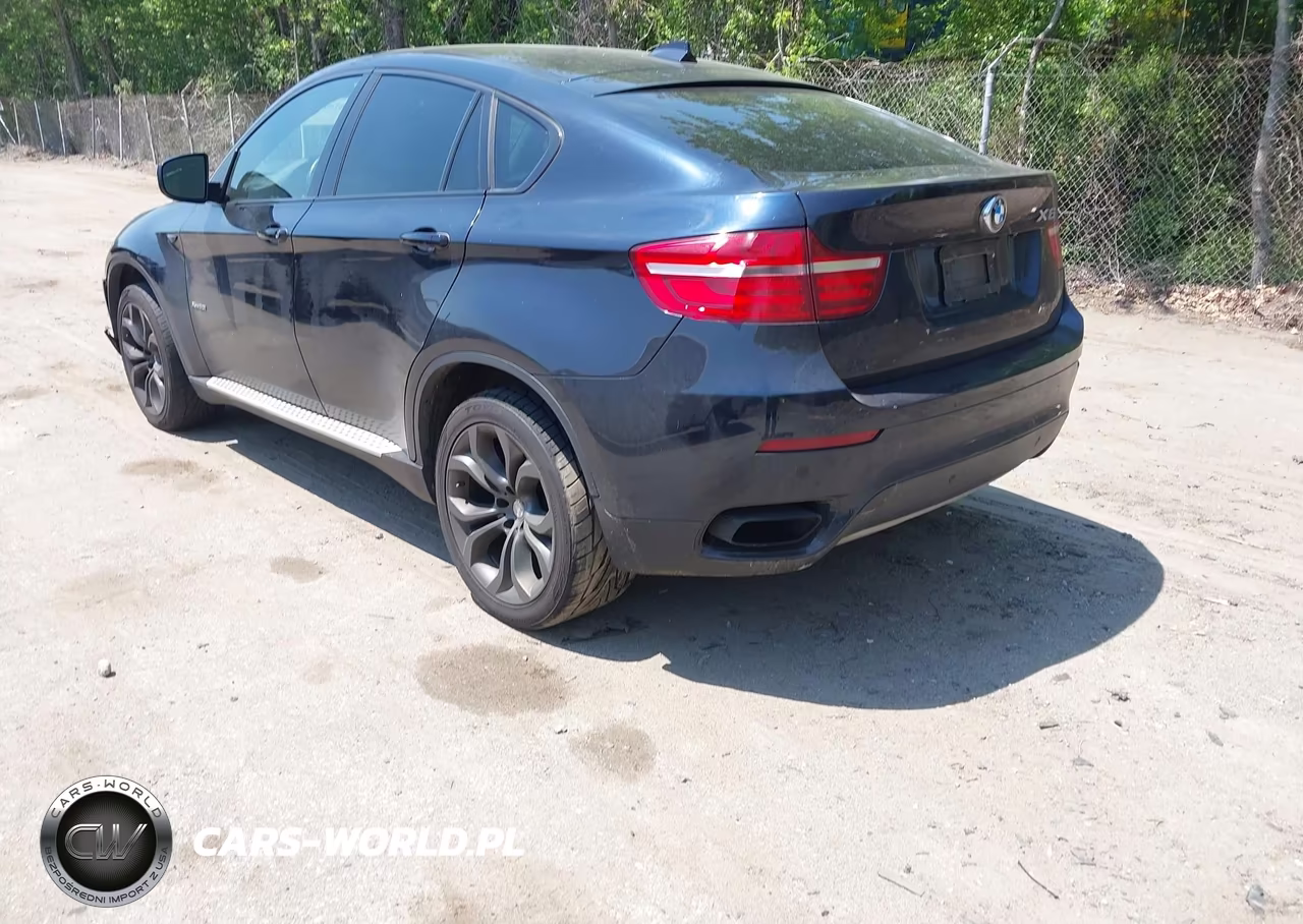 2013 BMW X6 xDrive50I VIN:5UXFG8C55DL591327 - 3