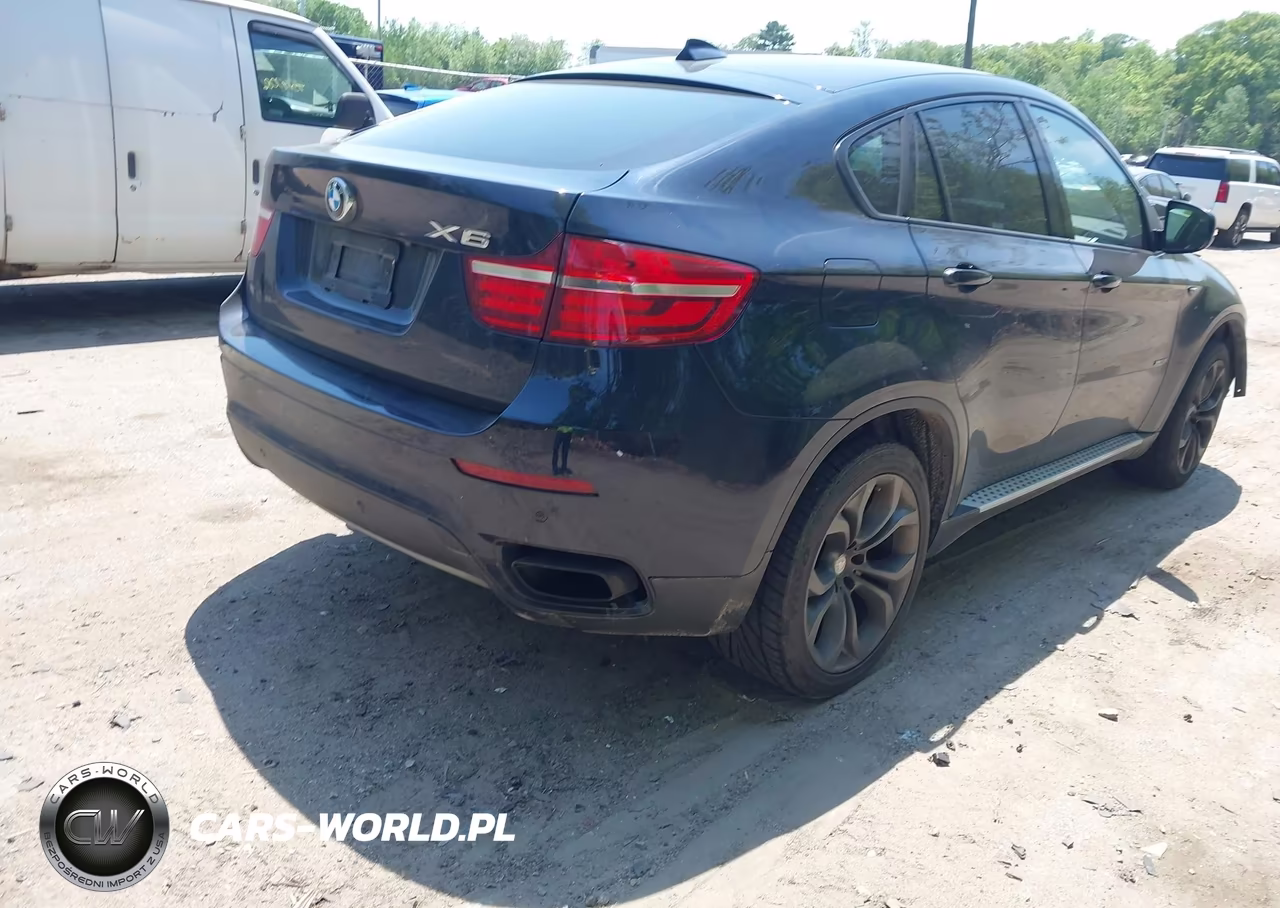 2013 BMW X6 xDrive50I VIN:5UXFG8C55DL591327 - 4