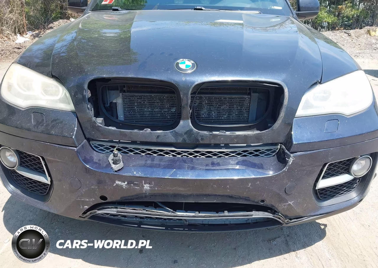 2013 BMW X6 xDrive50I VIN:5UXFG8C55DL591327 - 6