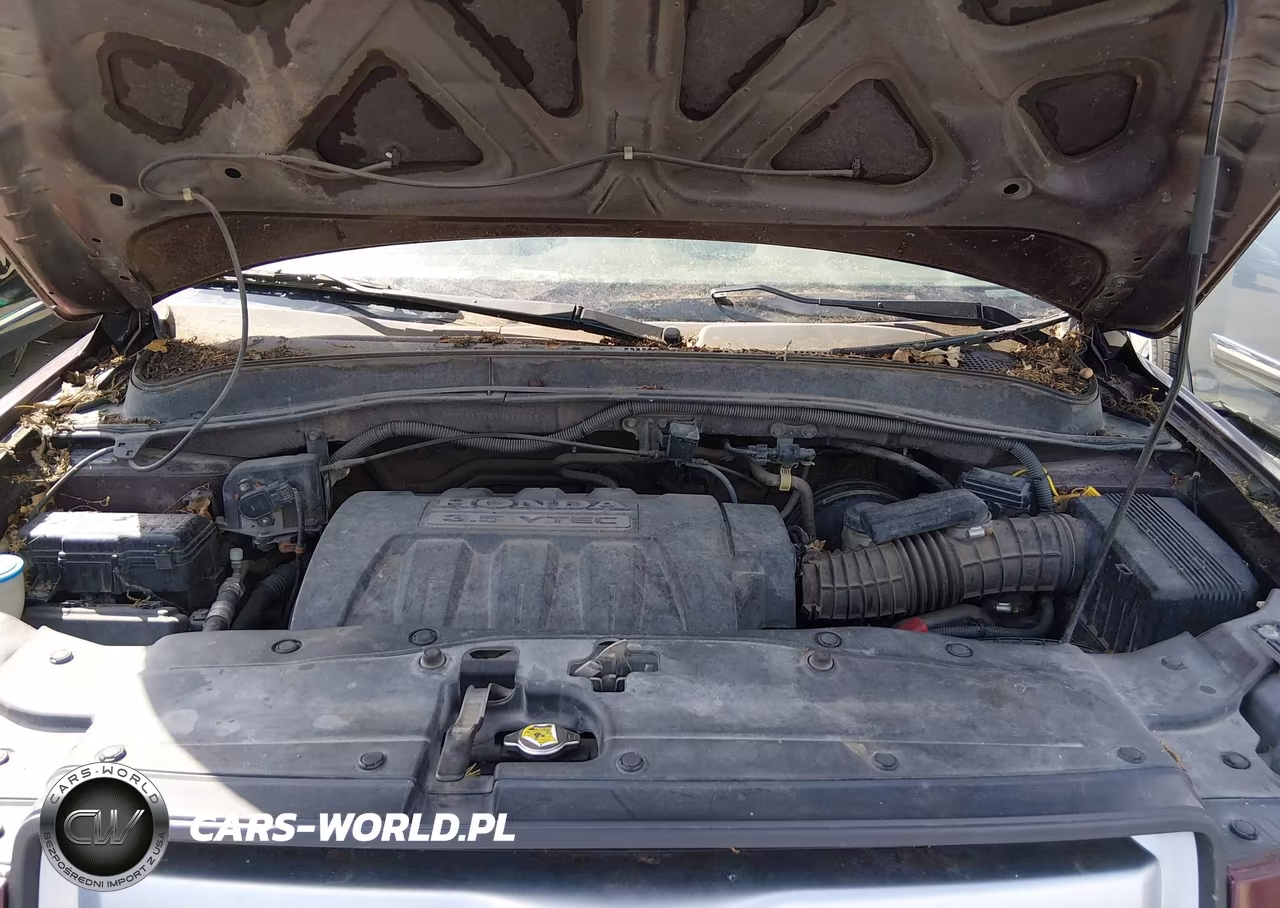 2007 Honda Pilot Ex VIN:2HKYF18457H513899 - 10