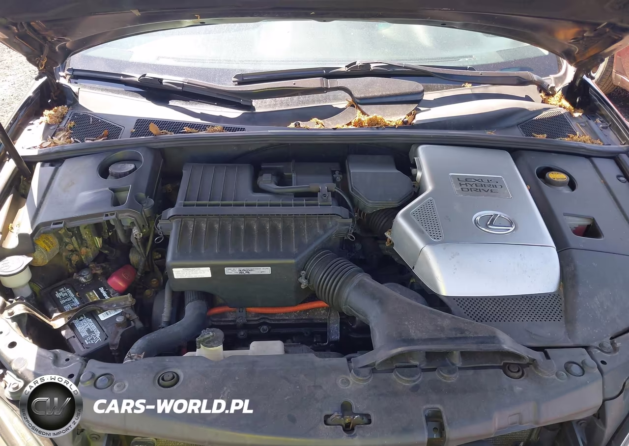 2007 Lexus Rx 400H VIN:JTJHW31U172013873 - 10