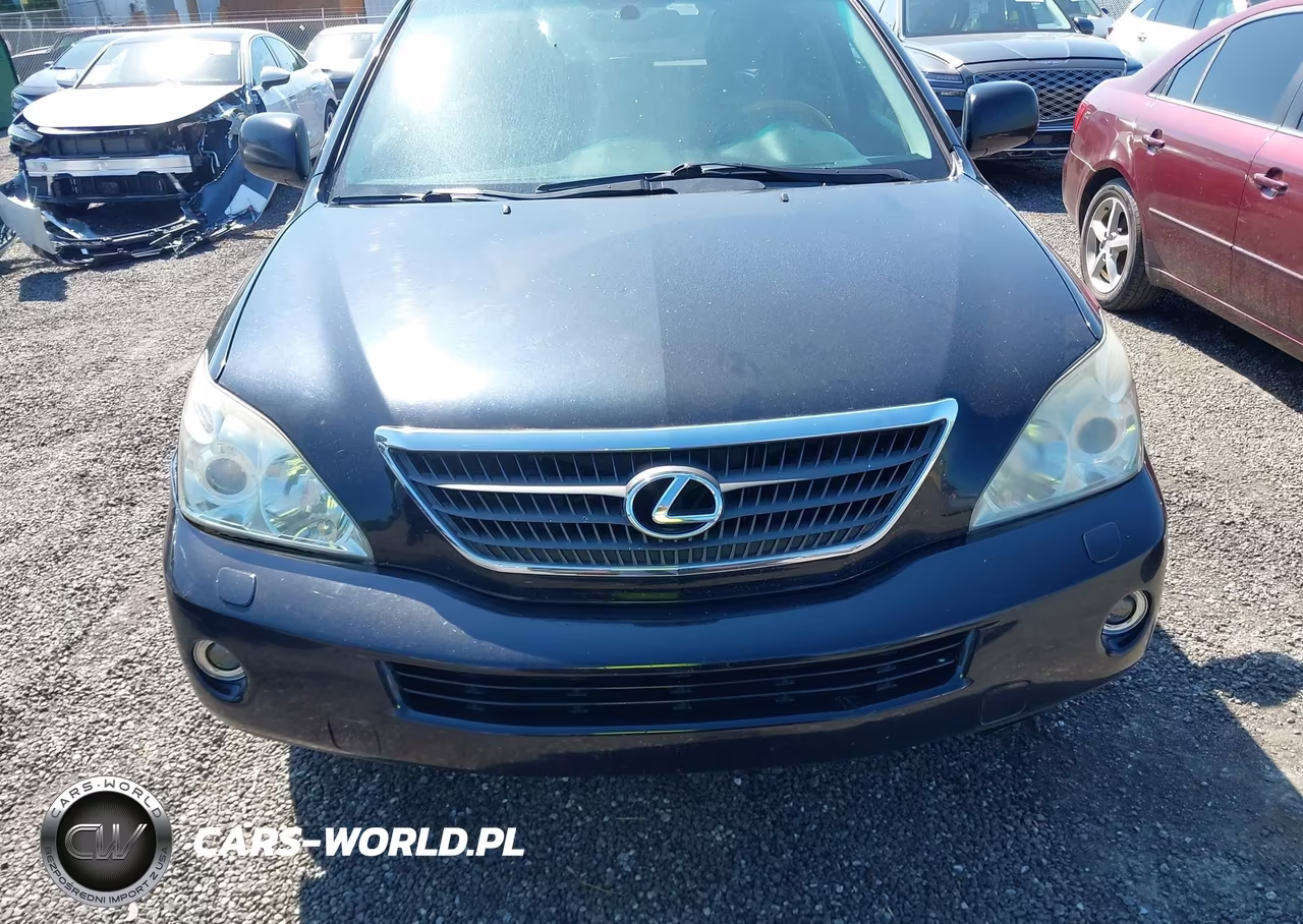 2007 Lexus Rx 400H VIN:JTJHW31U172013873 - 6
