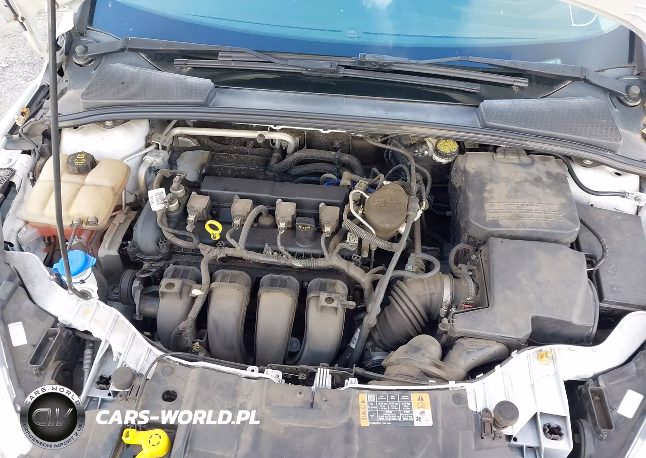 2015 Ford Focus Se VIN:1FADP3K29FL372818 - 10