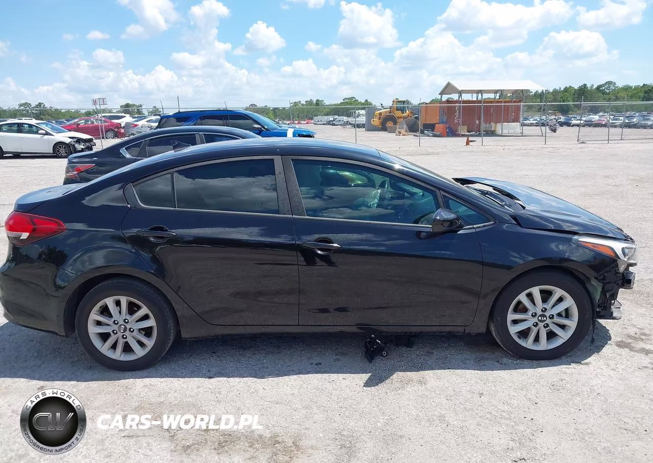 2017 Kia Forte Lx VIN:3KPFL4A7XHE125997 - 13