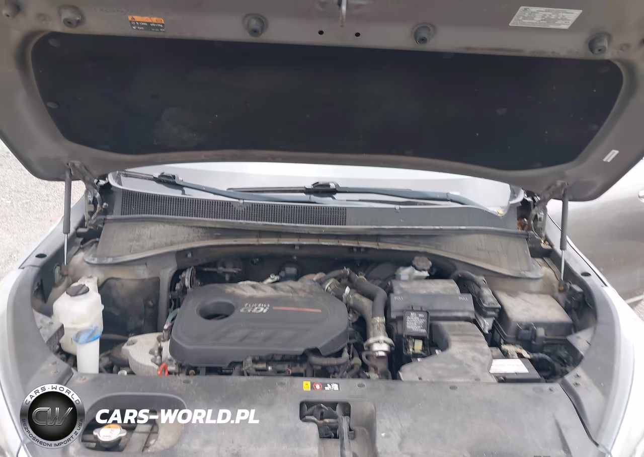 2016 Kia Sorento 2.0T Sxl VIN:5XYPKDA12GG022903 - 10