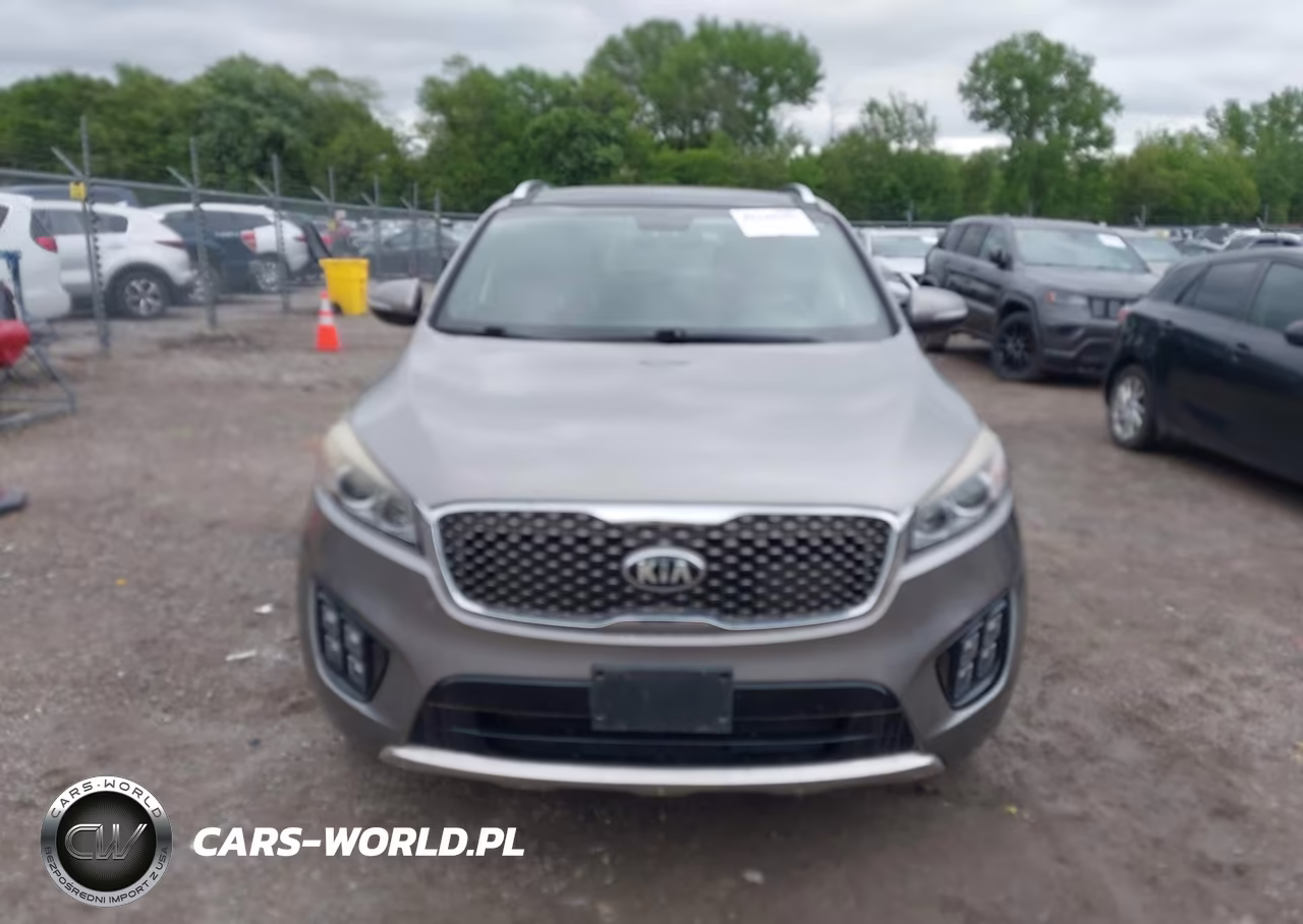 2016 Kia Sorento 2.0T Sxl VIN:5XYPKDA12GG022903 - 12