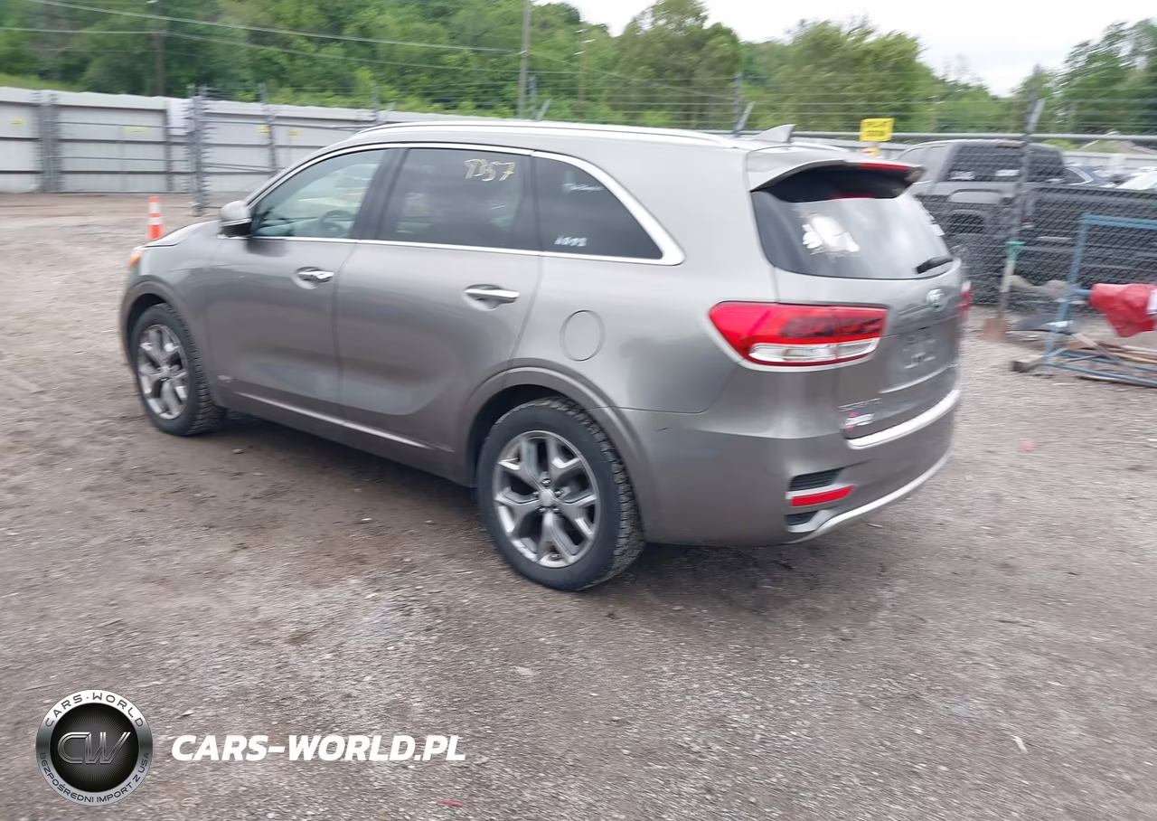 2016 Kia Sorento 2.0T Sxl VIN:5XYPKDA12GG022903 - 3