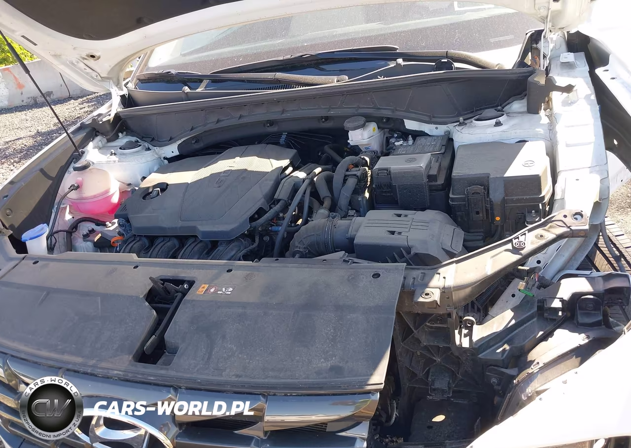 2024 Hyundai Tucson Sel VIN:5NMJFCDE2RH381986 - 10