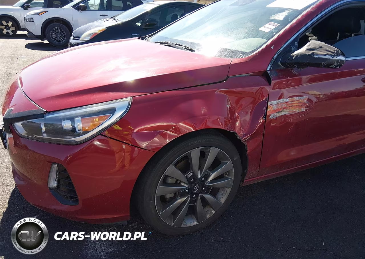 2018 Hyundai Elantra Gt Sport VIN:KMHH55LCXJU037263 - 12