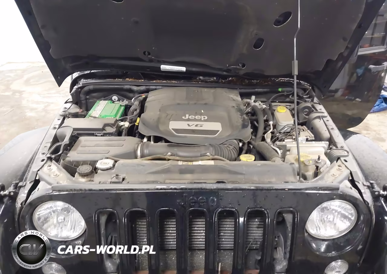 2015 Jeep Wrangler Unlimited Altitude VIN:1C4HJWEG3FL713944 - 10