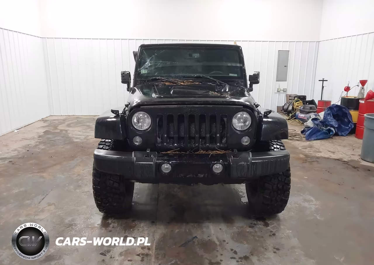 2015 Jeep Wrangler Unlimited Altitude VIN:1C4HJWEG3FL713944 - 12