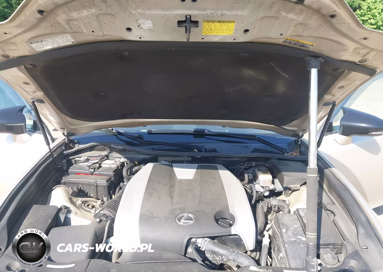 2013 Lexus Gs 350 VIN:JTHBE1BL8D5012802 - 10