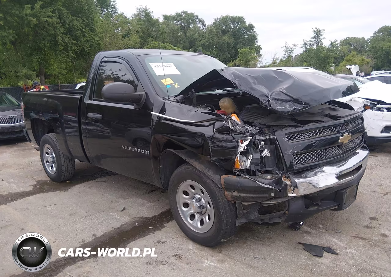 2009 Chevrolet Silverado 1500 Work Truck – zdjęcie 1 z 17