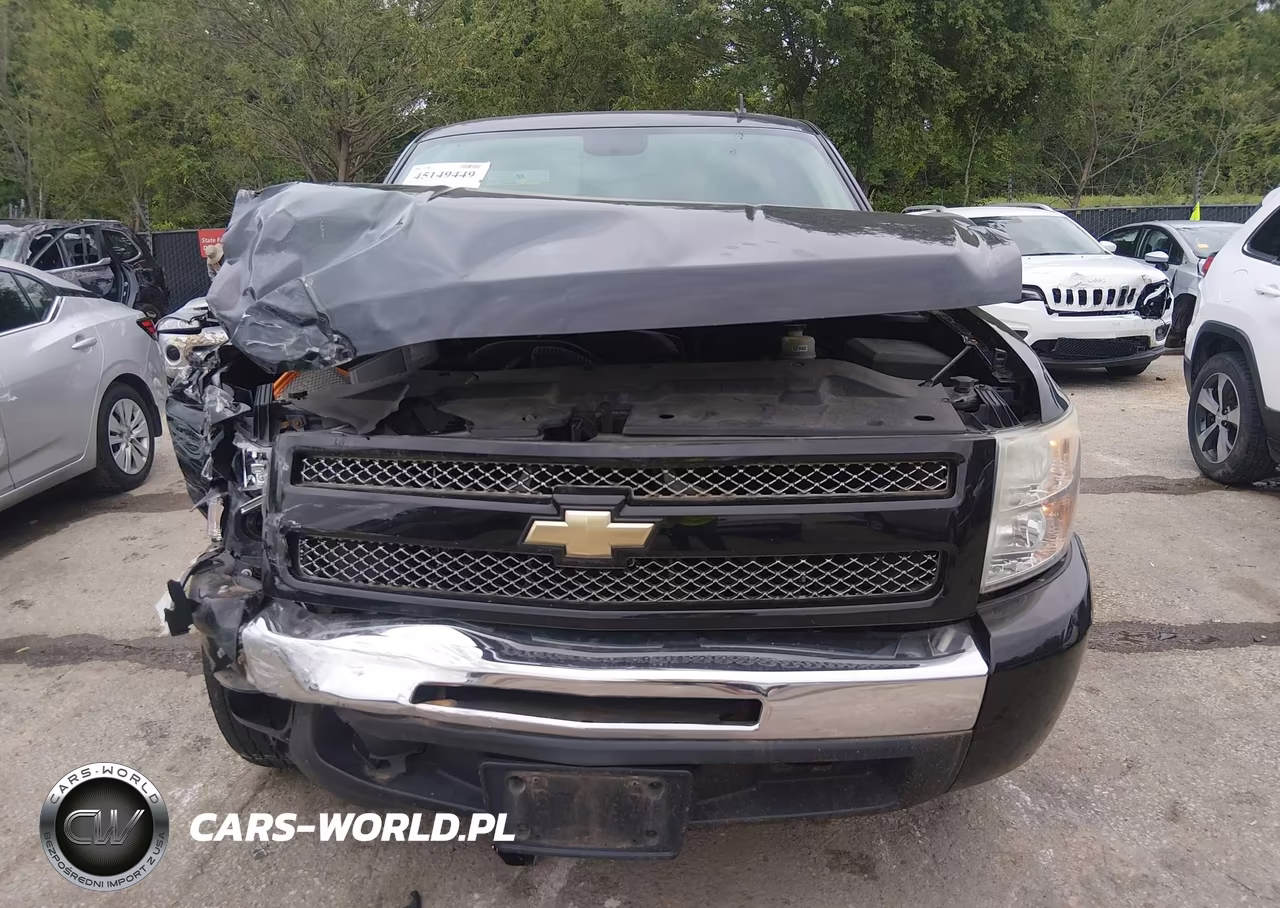 2009 Chevrolet Silverado 1500 Work Truck VIN:1GCEC14C09Z212851 - 12