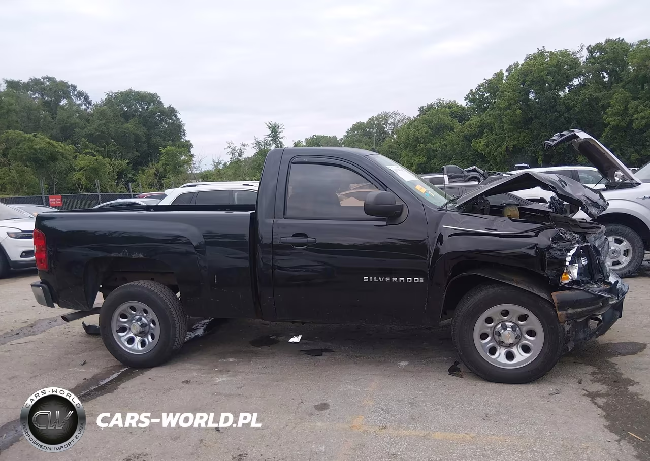 2009 Chevrolet Silverado 1500 Work Truck VIN:1GCEC14C09Z212851 - 13