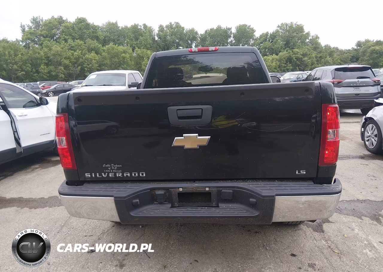 2009 Chevrolet Silverado 1500 Work Truck VIN:1GCEC14C09Z212851 - 16