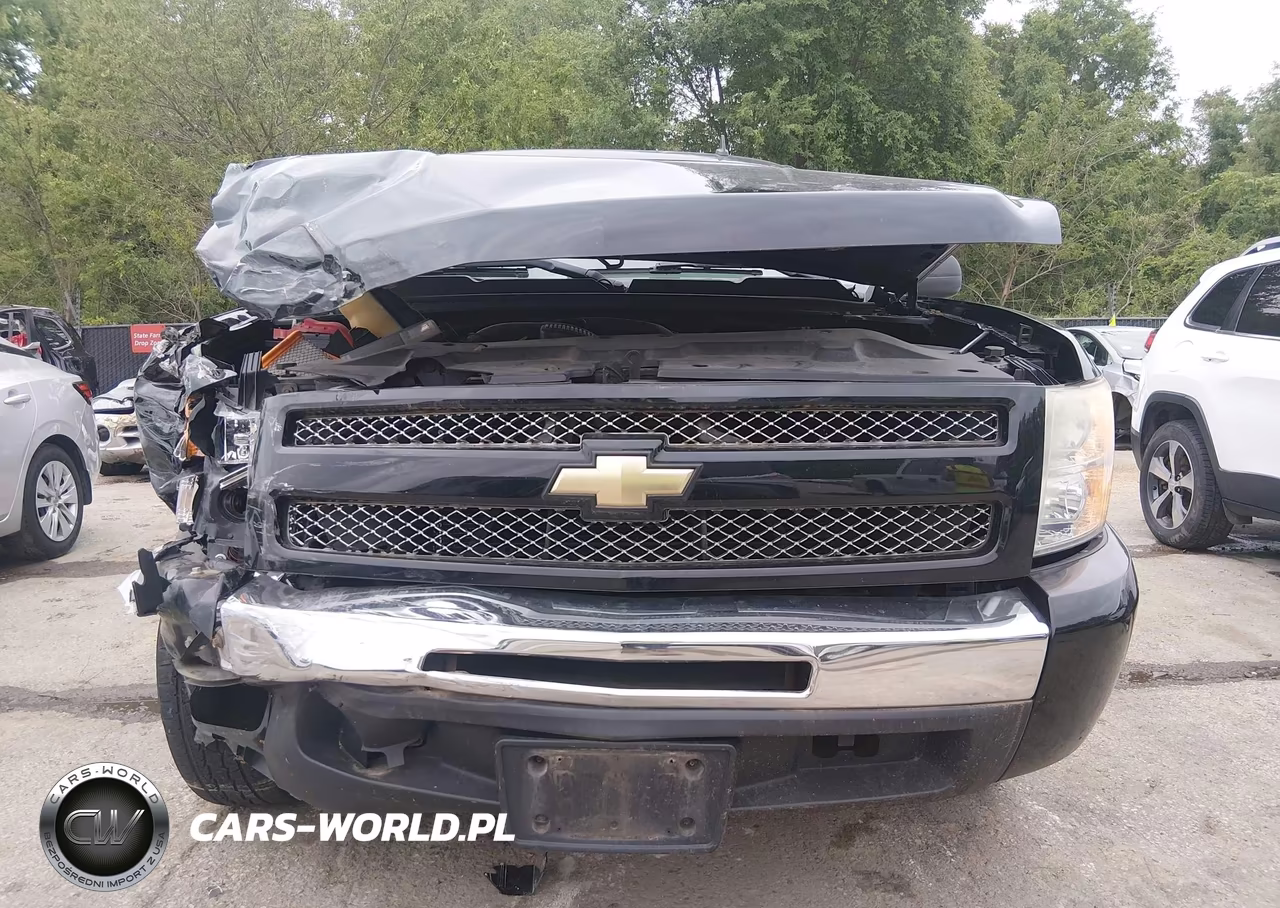 2009 Chevrolet Silverado 1500 Work Truck VIN:1GCEC14C09Z212851 - 17