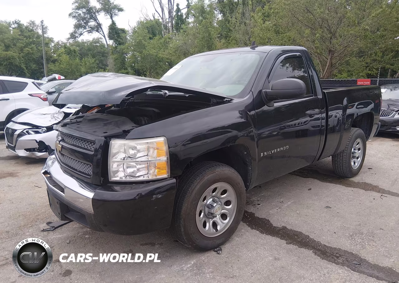 2009 Chevrolet Silverado 1500 Work Truck VIN:1GCEC14C09Z212851 - 2