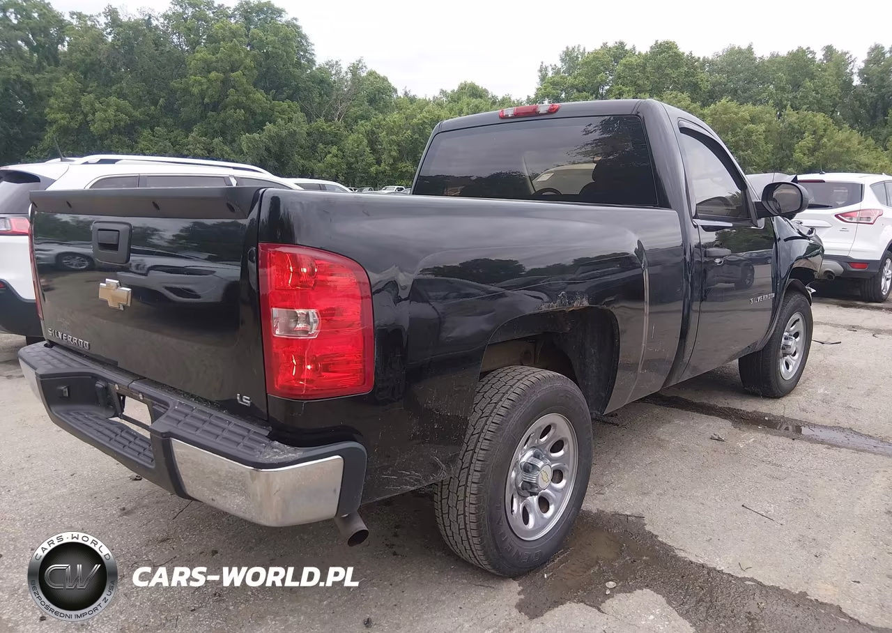 2009 Chevrolet Silverado 1500 Work Truck VIN:1GCEC14C09Z212851 - 4