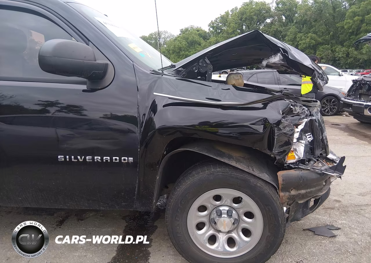 2009 Chevrolet Silverado 1500 Work Truck VIN:1GCEC14C09Z212851 - 6