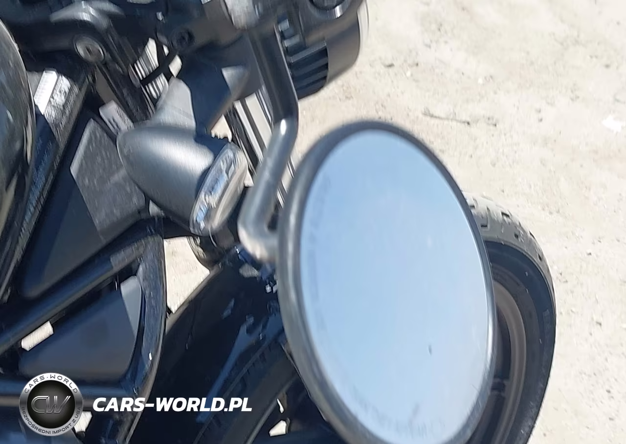 2024 Harley-Davidson Rh975 VIN:1HD1ZH126RB308637 - 16