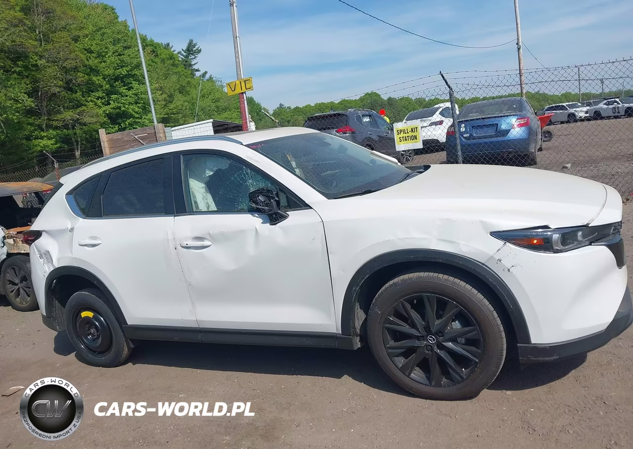 2025 Mazda Cx-5 2.5 S Carbon Edition VIN:JM3KFBCM3S0717973 - 13