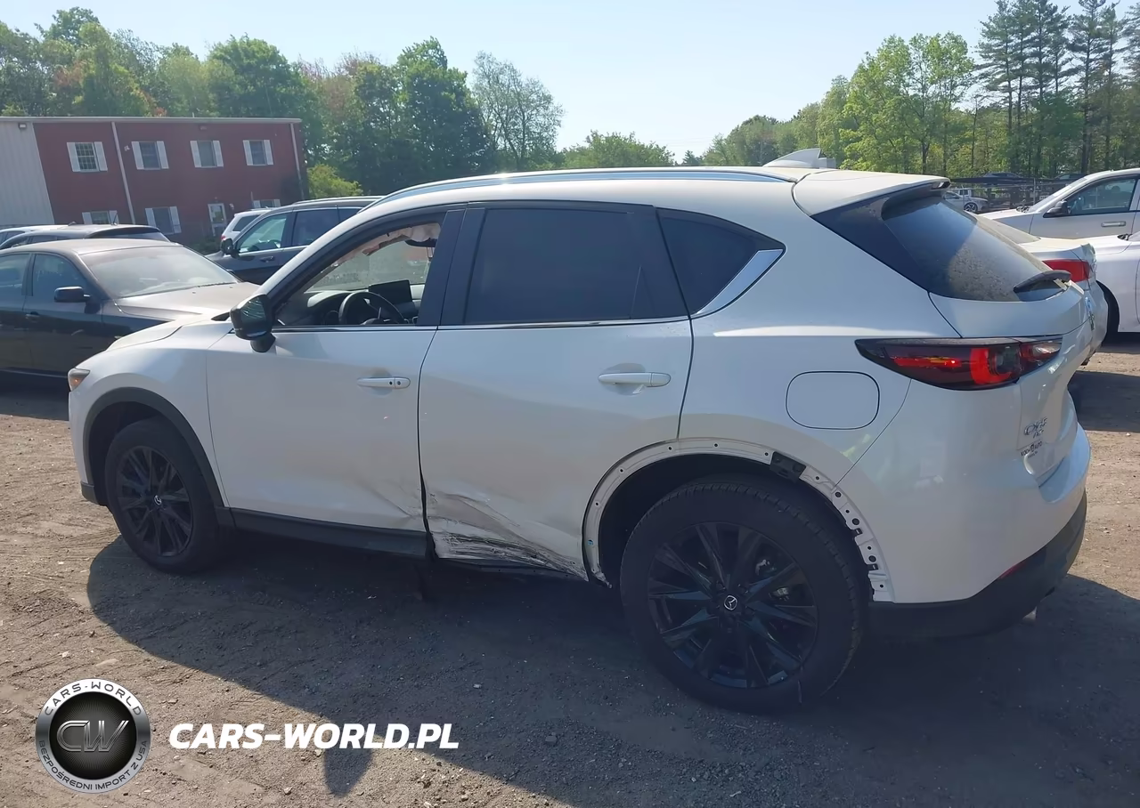 2025 Mazda Cx-5 2.5 S Carbon Edition VIN:JM3KFBCM3S0717973 - 14