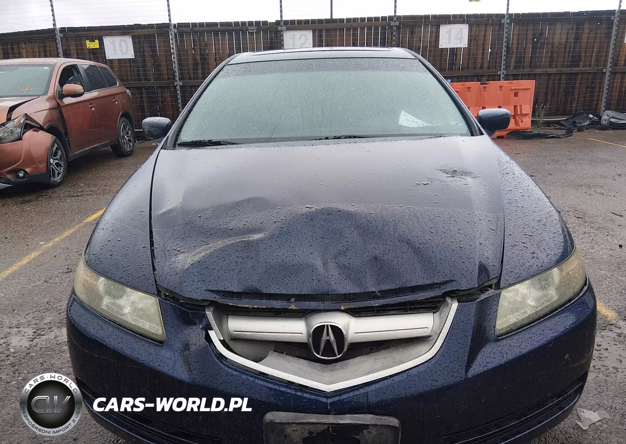 2006 Acura Tl VIN:19UUA66266A052604 - 13