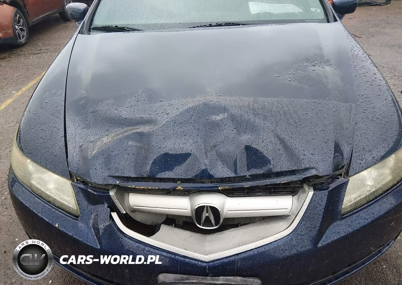 2006 Acura Tl VIN:19UUA66266A052604 - 6