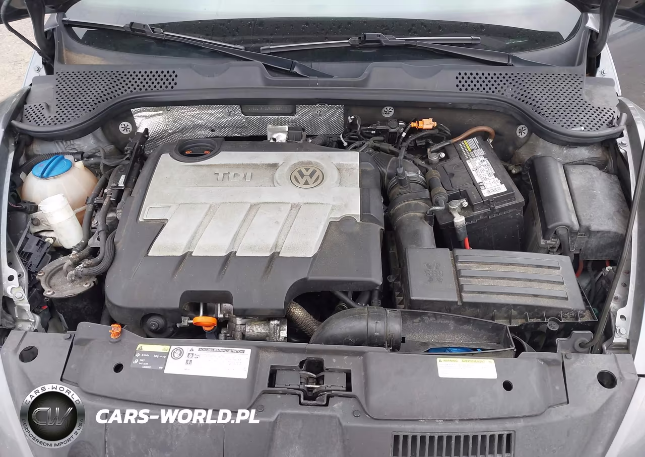 2013 Volkswagen Beetle 2.0L Tdi VIN:3VWJL7AT1DM660335 - 10
