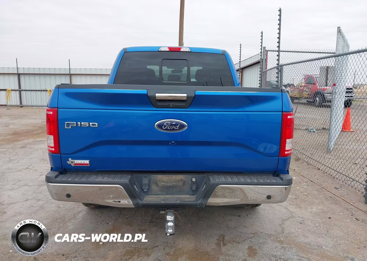 2016 Ford F-150 Xlt VIN:1FTEW1CP9GKF31084 - 17