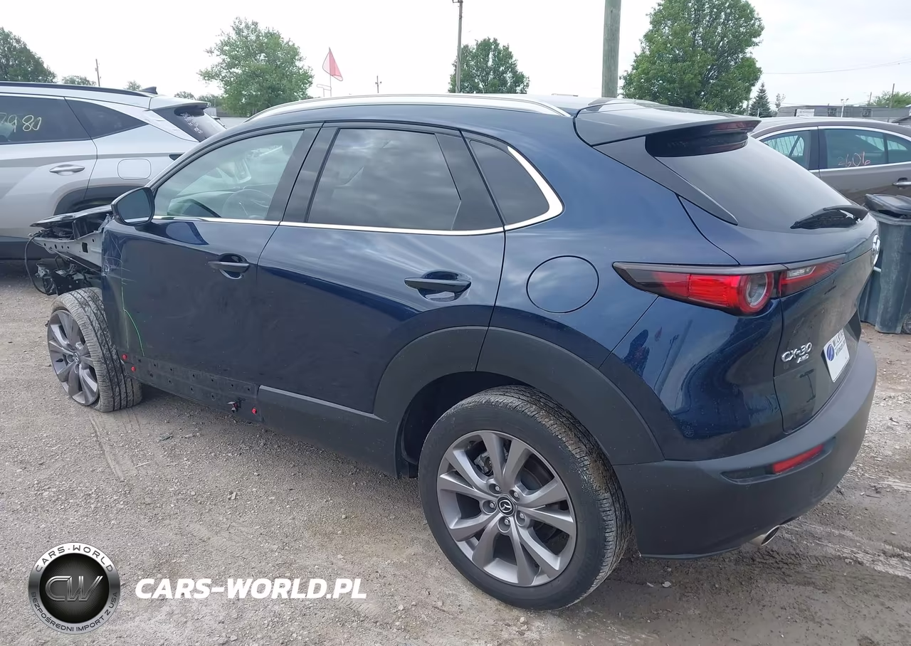 2022 Mazda Cx-30 Premium VIN:3MVDMBDL3NM442571 - 3
