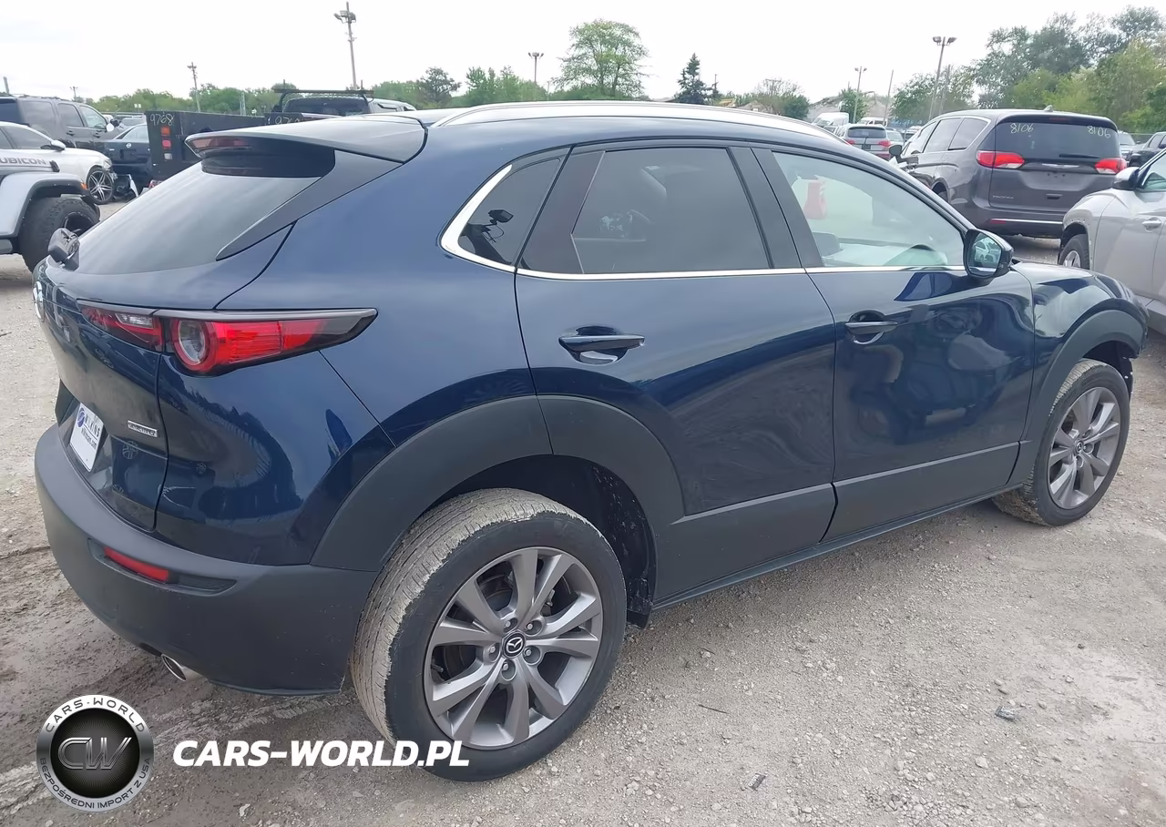2022 Mazda Cx-30 Premium VIN:3MVDMBDL3NM442571 - 4