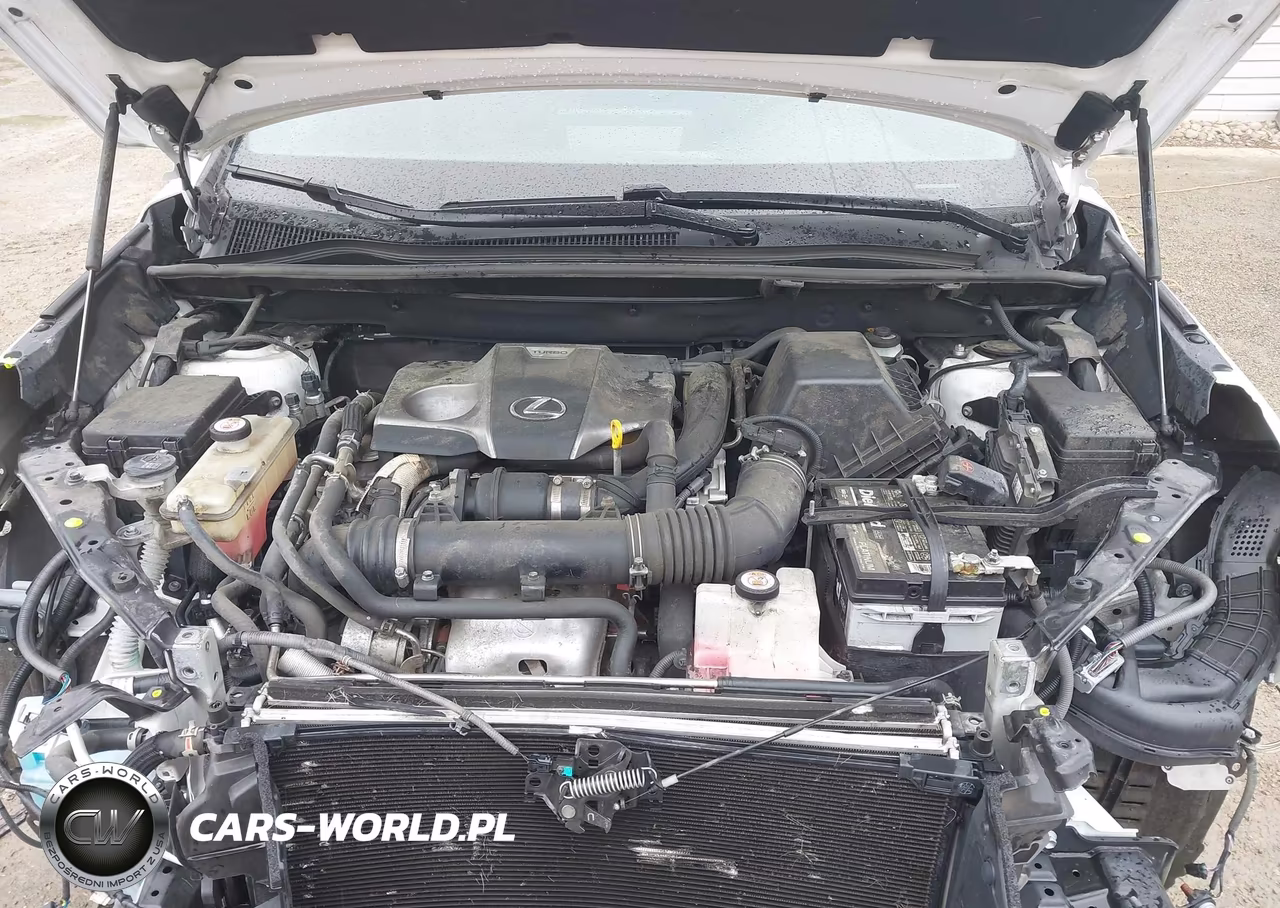 2021 Lexus Nx 300 F Sport VIN:JTJSARBZ2M5024232 - 10
