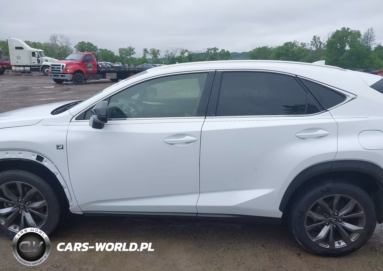 2021 Lexus Nx 300 F Sport VIN:JTJSARBZ2M5024232 - 15