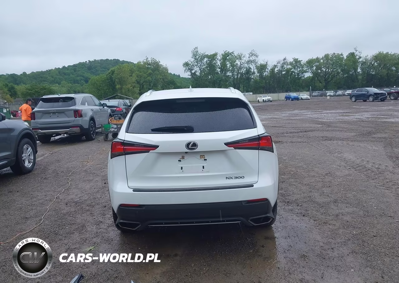 2021 Lexus Nx 300 F Sport VIN:JTJSARBZ2M5024232 - 17