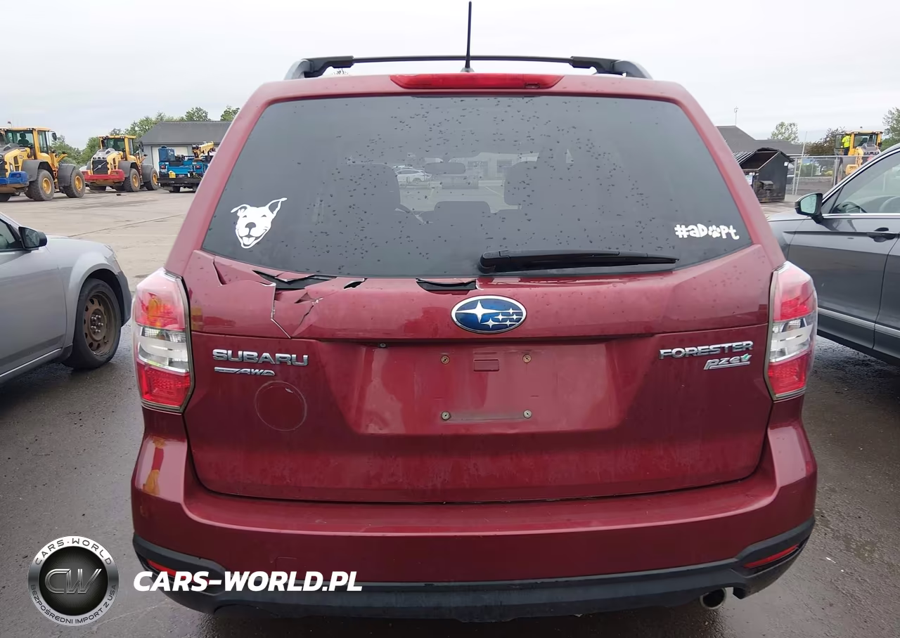 2014 Subaru Forester 2.5I Premium VIN:JF2SJAEC6EH546732 - 16