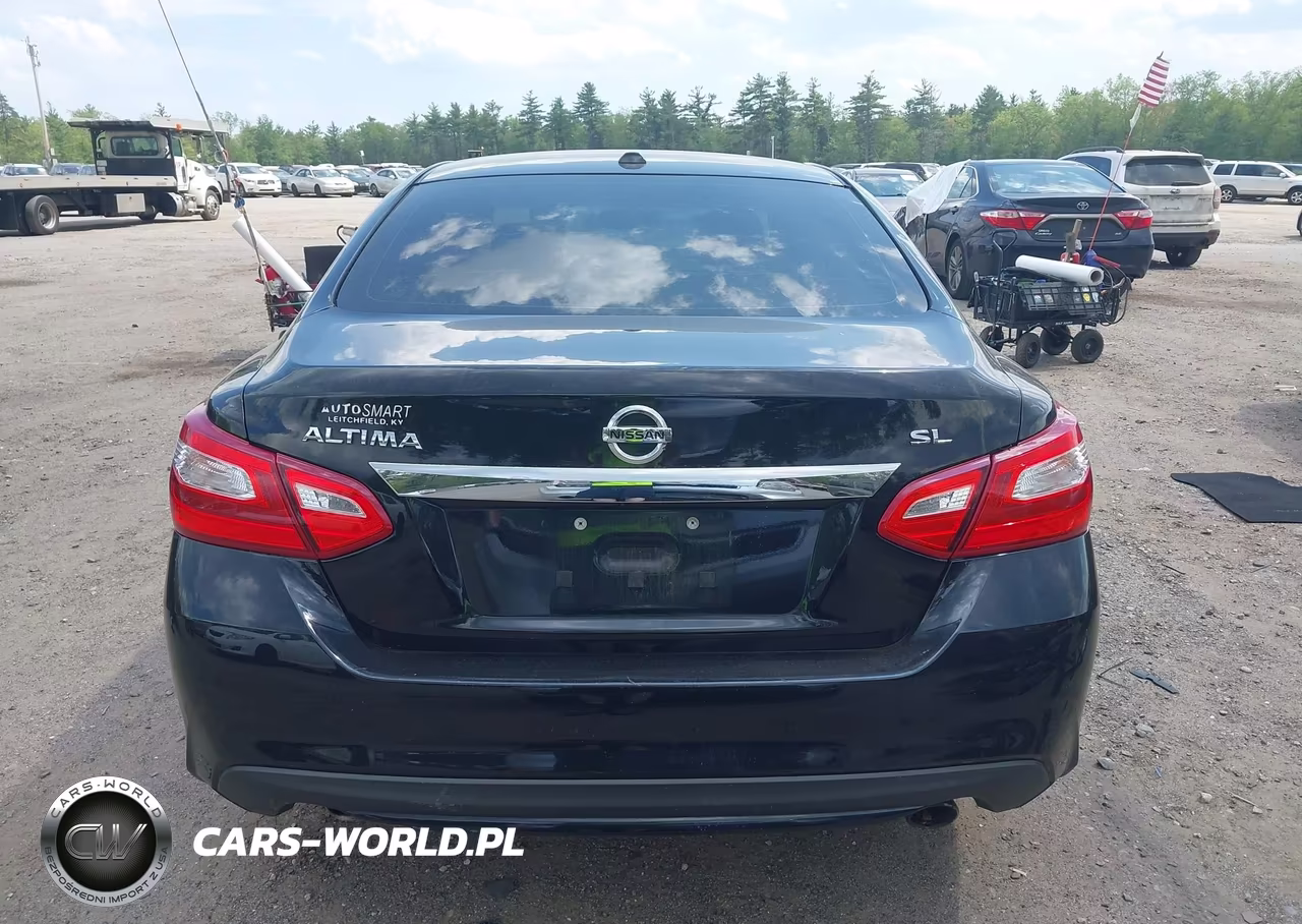 2017 Nissan Altima 2.5 Sl VIN:1N4AL3AP4HC164098 - 17