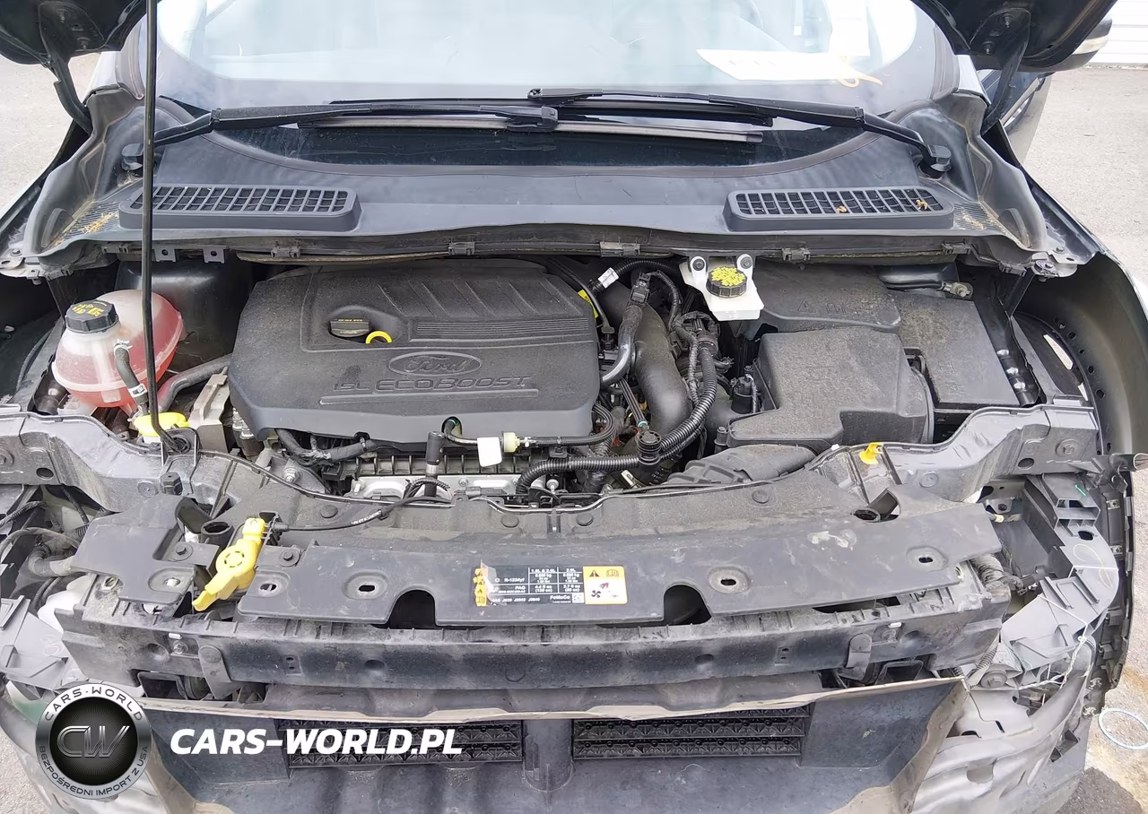 2017 Ford Escape Titanium VIN:1FMCU0JD2HUB73781 - 10