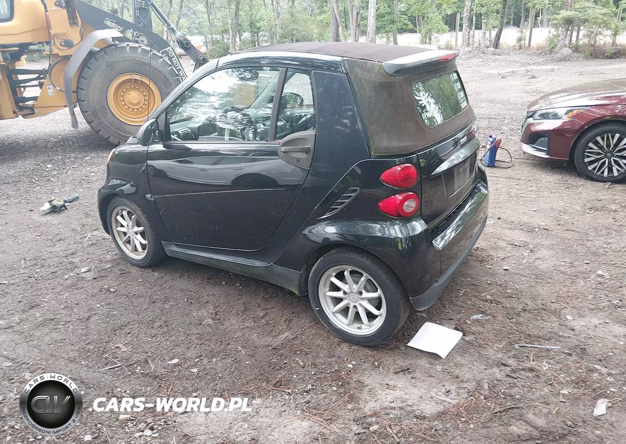2009 Smart Fortwo Brabus-Passion VIN:WMEEK31X69K299056 - 3