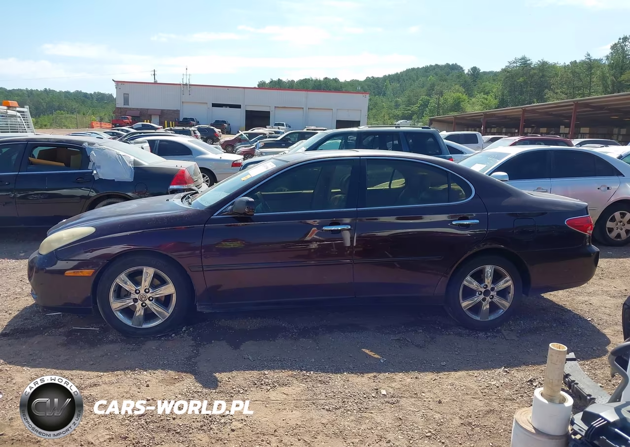 2005 Lexus Es 330 VIN:JTHBA30G155058552 - 15